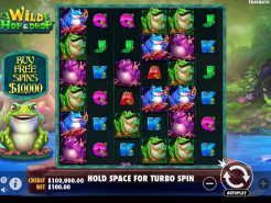 Wild Hop & Drop Slots